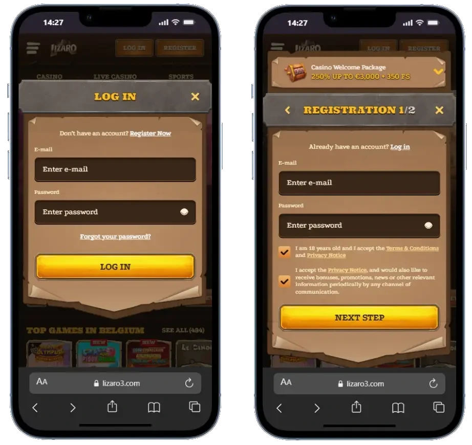 Lizaro login